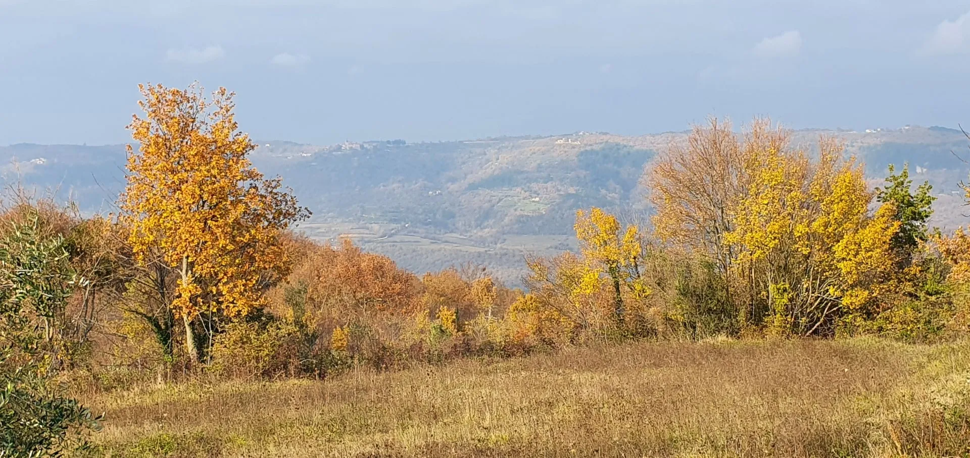 istra, vižinada - prostrano građevinsko zemljište na osami s panoramskim pogledom - slika 32