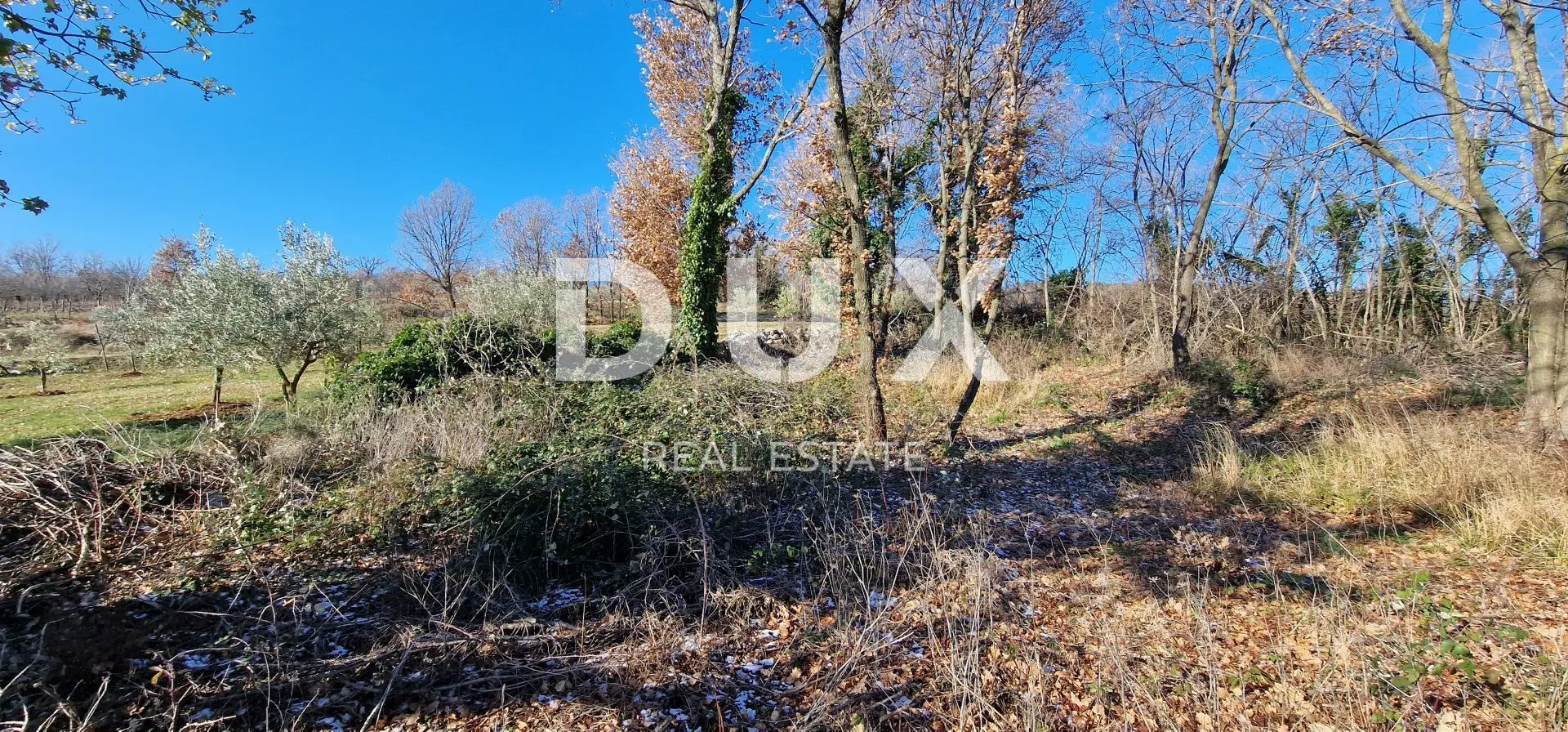 istra, labin, pićan - potpuna osama i prekrasan pogled!! građevinsko zemljište 750m2 i poljoprivredno 692 m2 - slika 29