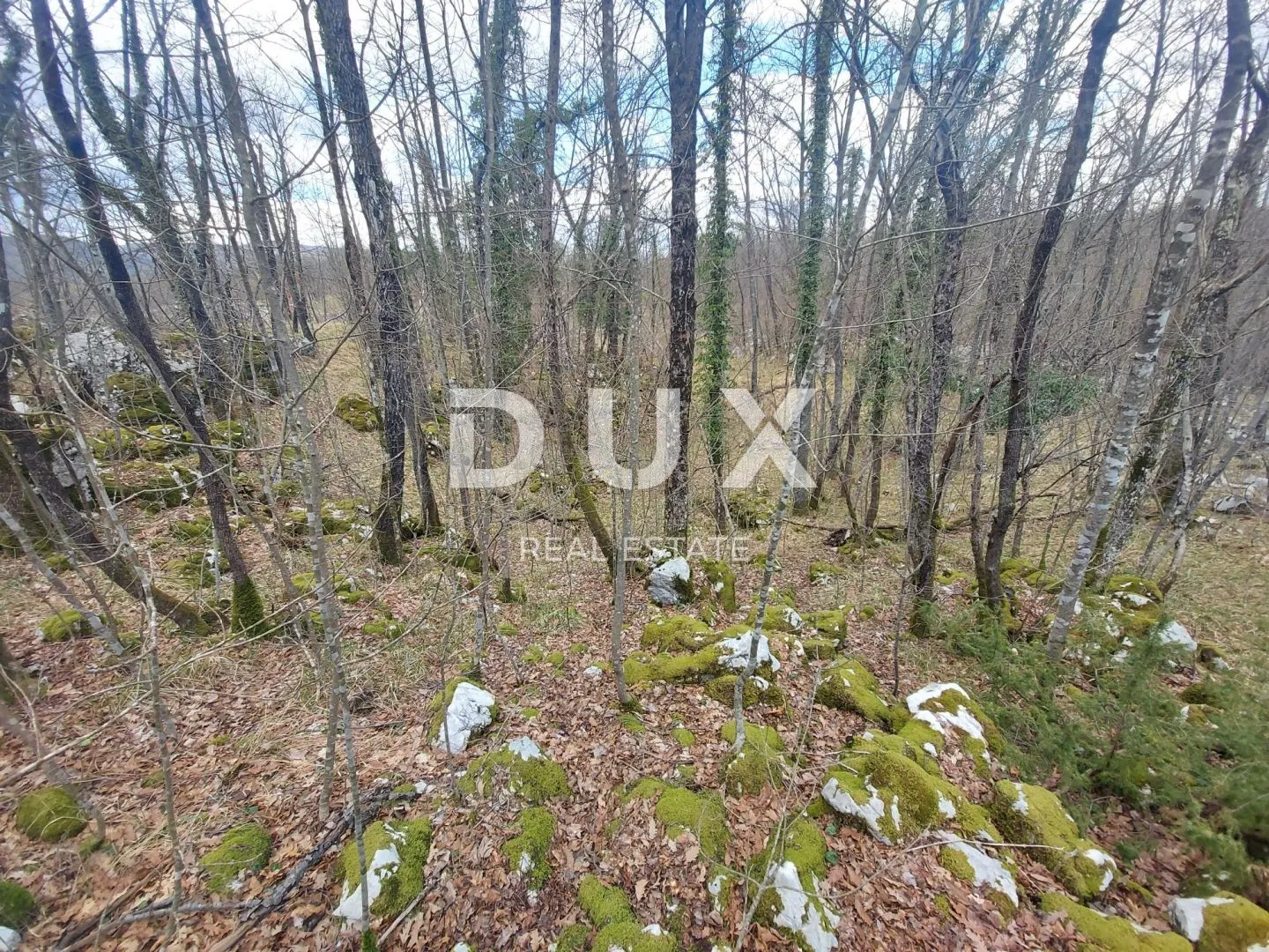 permani - građevinski teren 1640 m2 za halu / poslovnu zgradu - slika 9
