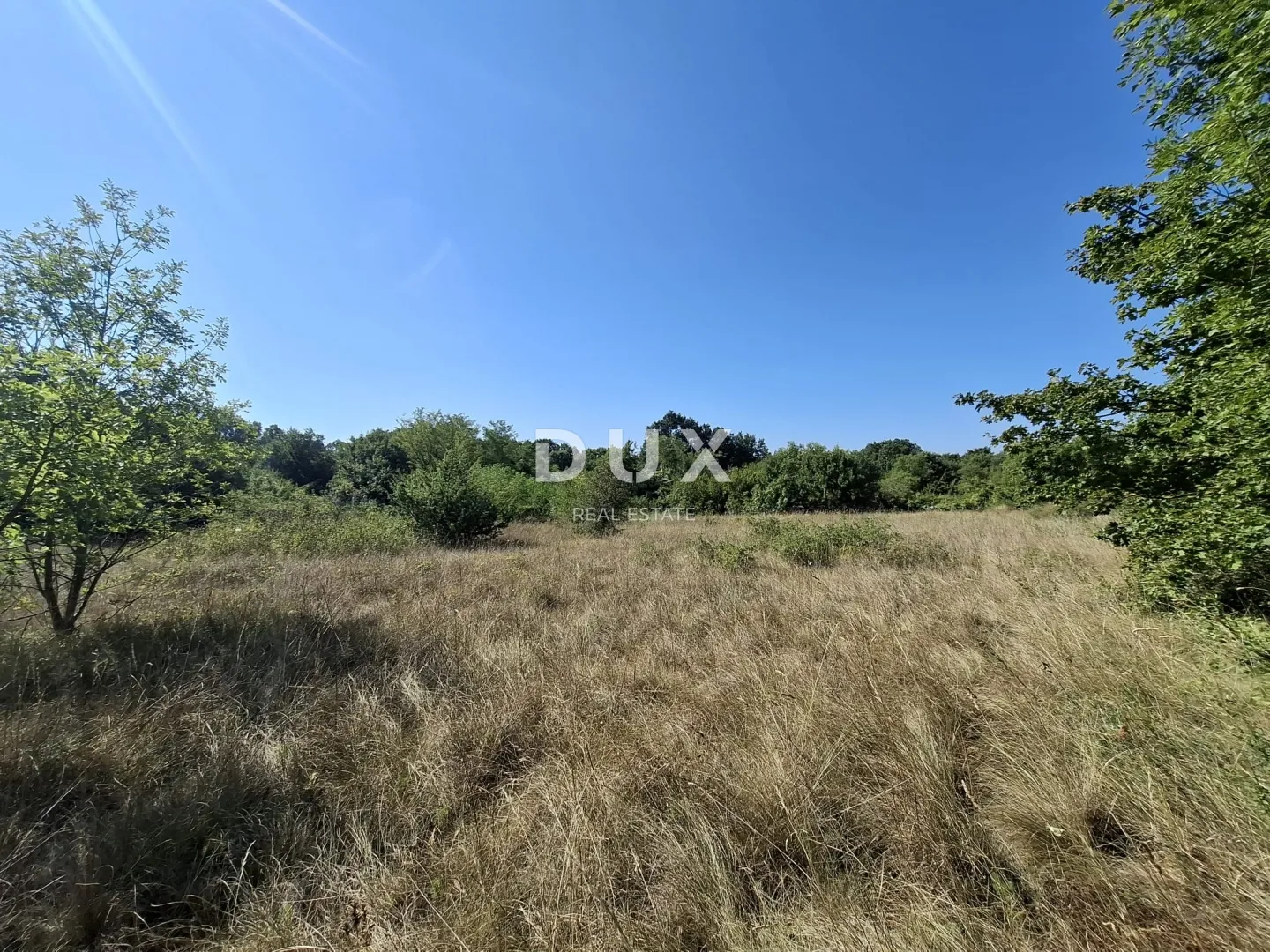 istra, šajini, poljoprivredno zemljište, 5021 m2 - slika 3