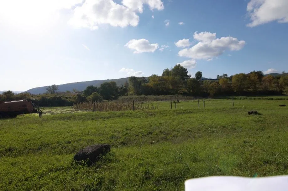 buzet okolica- građevinska parcela sa poljoprivrednim zemljištem na p - slika 3