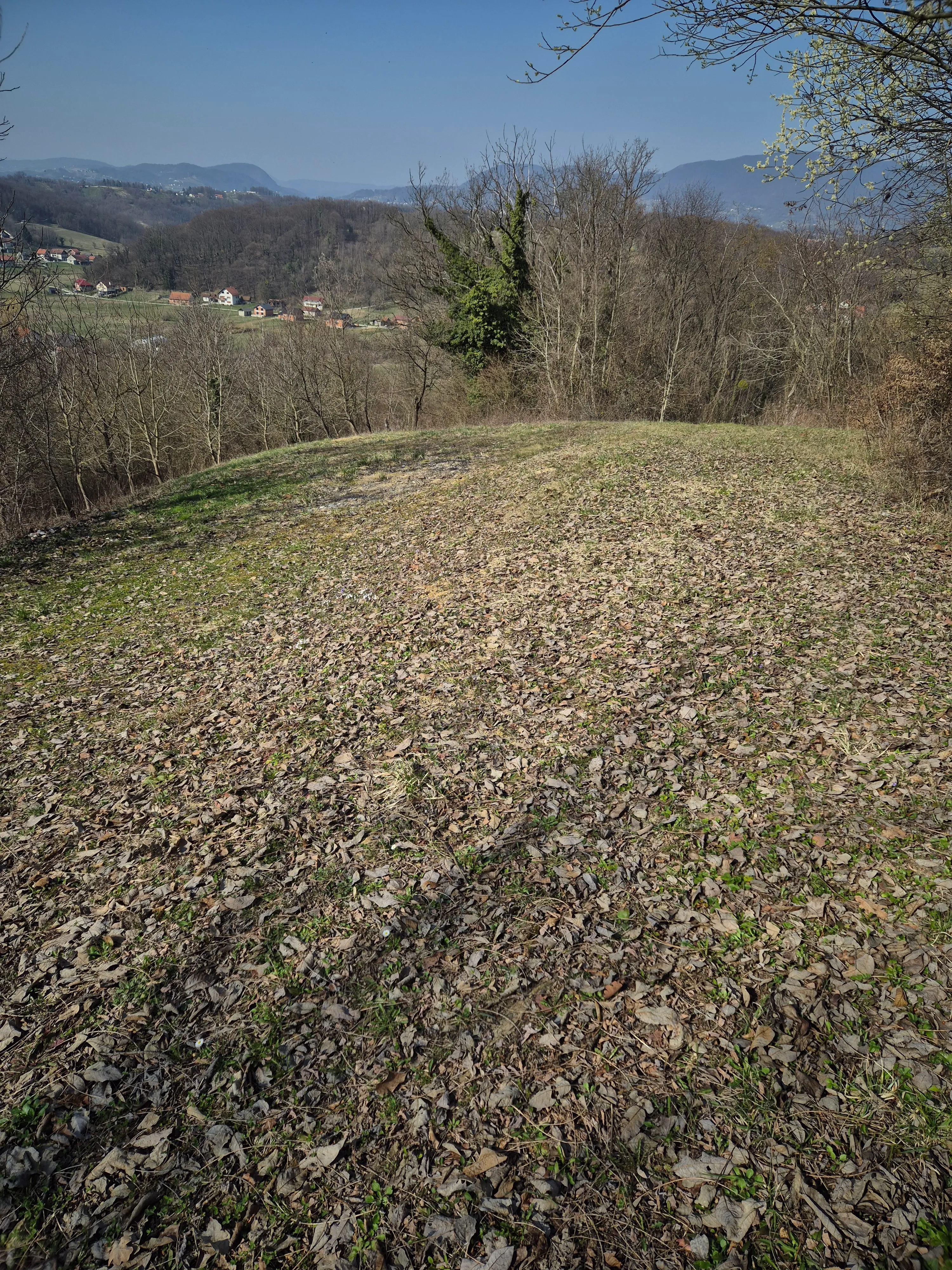 Šuma I Voćnjak - Donja Šemnica, Krapina