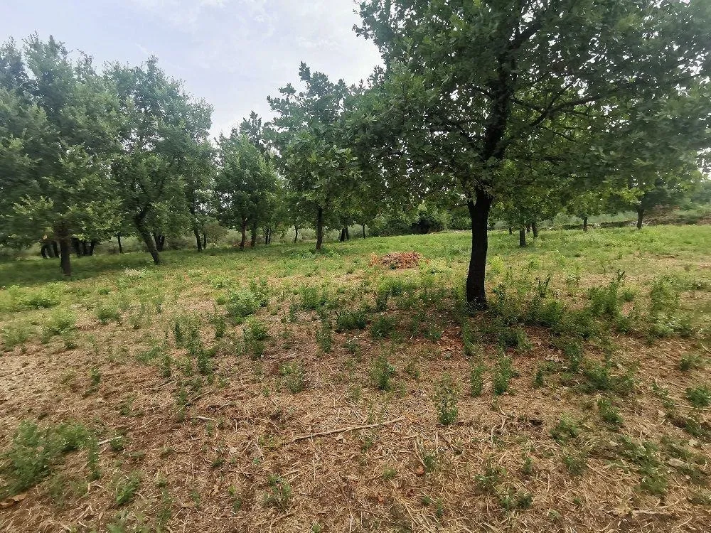tar-stancija blek zemljište na prodaju - slika 10