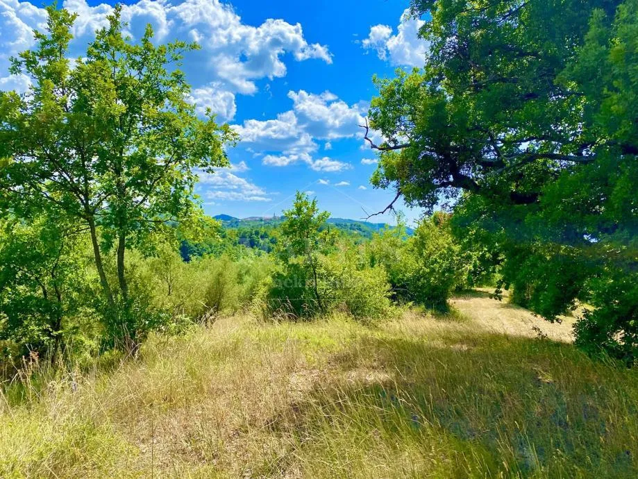 istra-draguć, 1088 m2, građ. teren, zgrada 80 m2 - slika 2