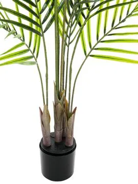 europalms areca palm with big leaves, 125cm - slika 2