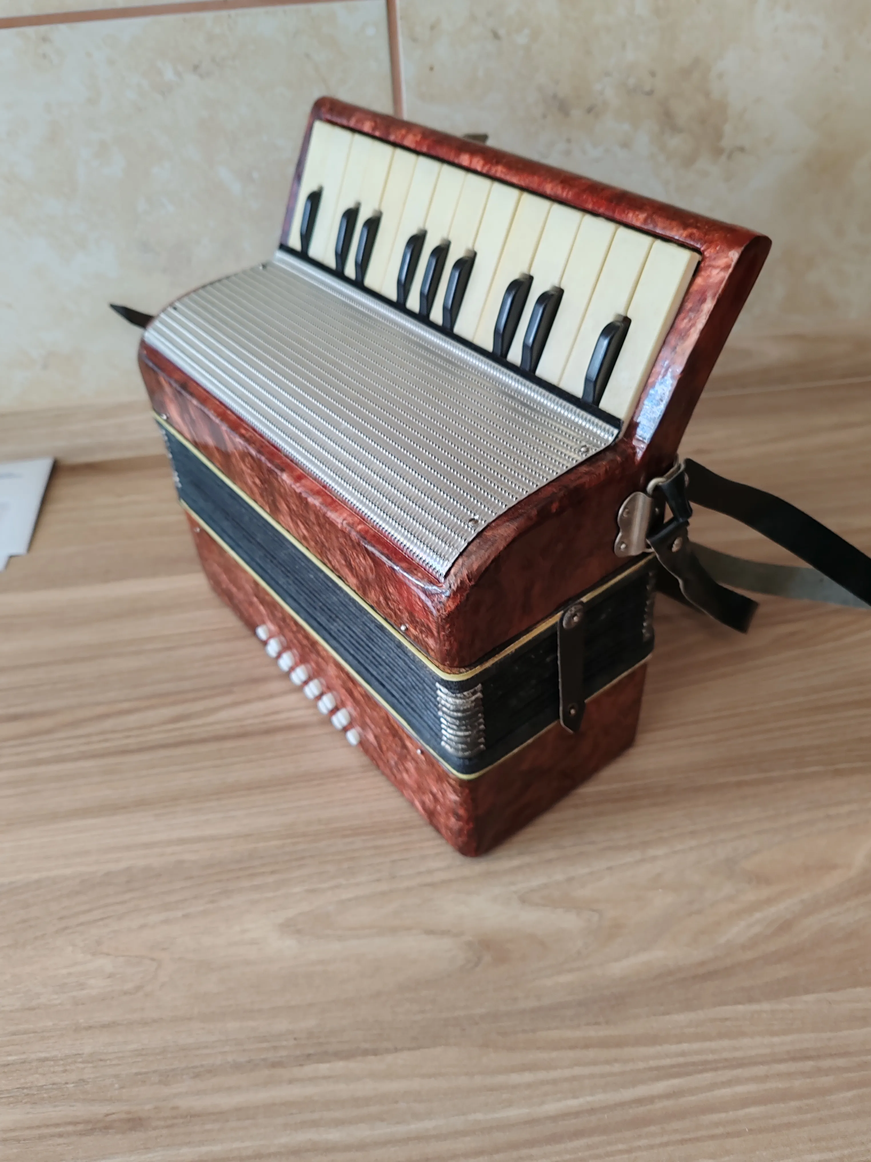 dječja harmonika - slika 2