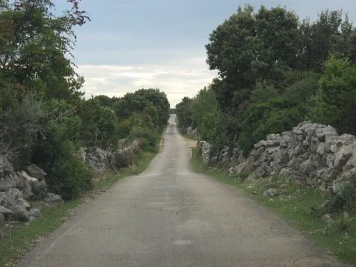 poljoprivredno zemljište, cres, 106000 m2 - slika 3