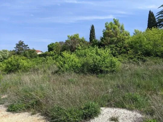labin, zemljište s građevinskom dozvolom, pogled na more 616 m2 - slika 4