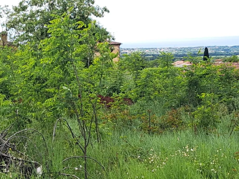 kaštelir-građevinsko zemljište na prodaji - slika 3