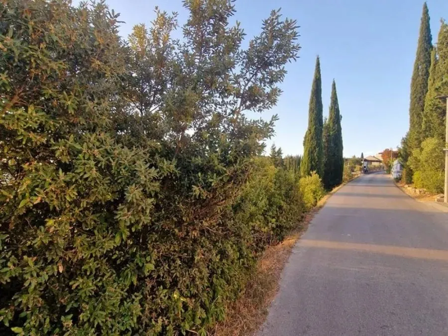 građevinsko zemljište na prodaju - korčula - slika 18