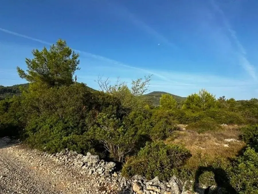 poljoprivredno zemljište na prodaju - vela luka - slika 12