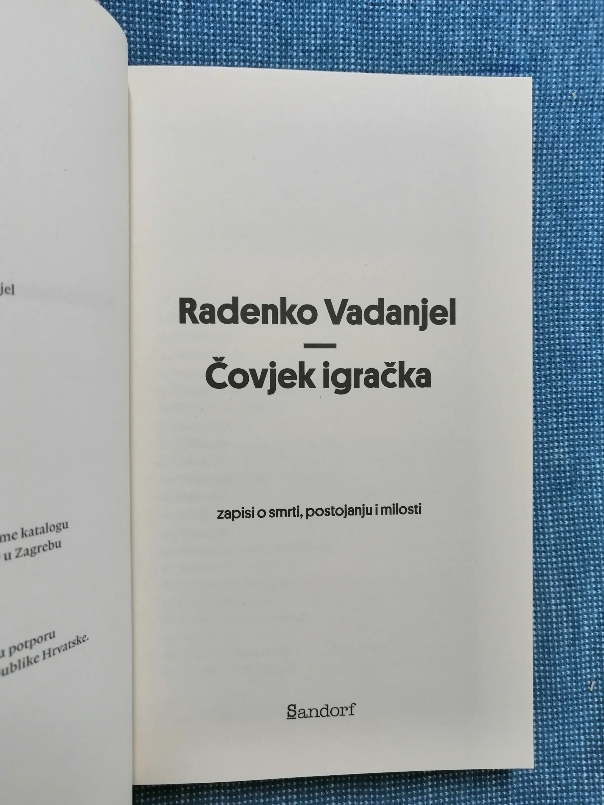 radenko vadanjel – čovjek igračka - slika 2