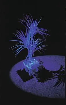 europalms yucca palm tree, uv-white, 90cm - slika 2