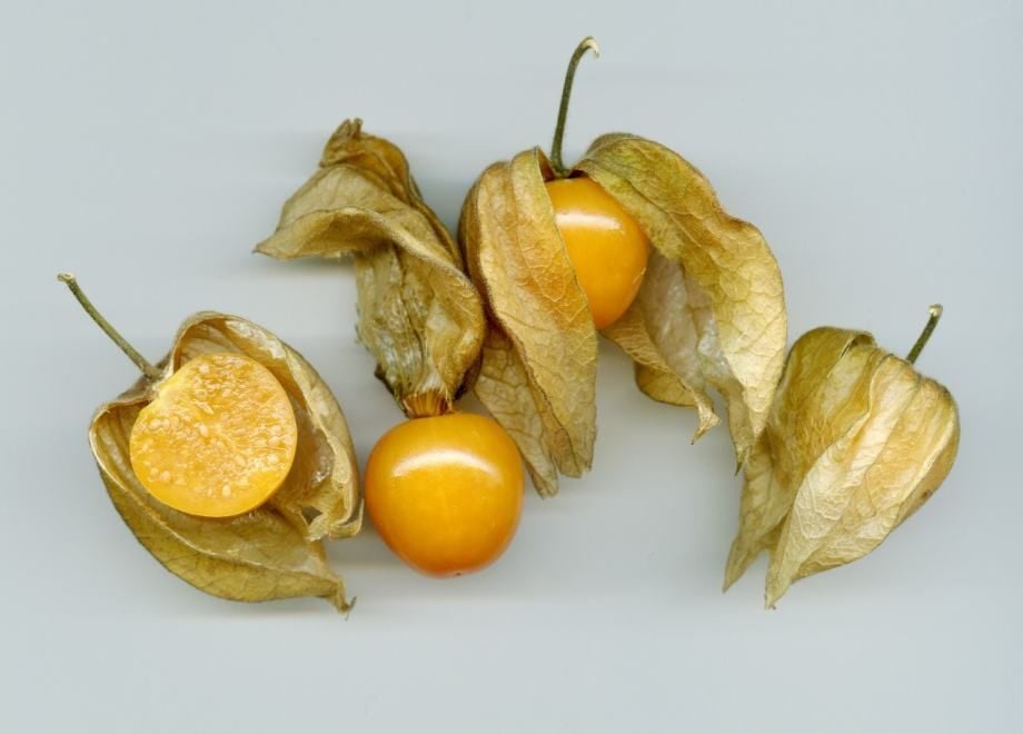 Eko Peruanska Jagoda