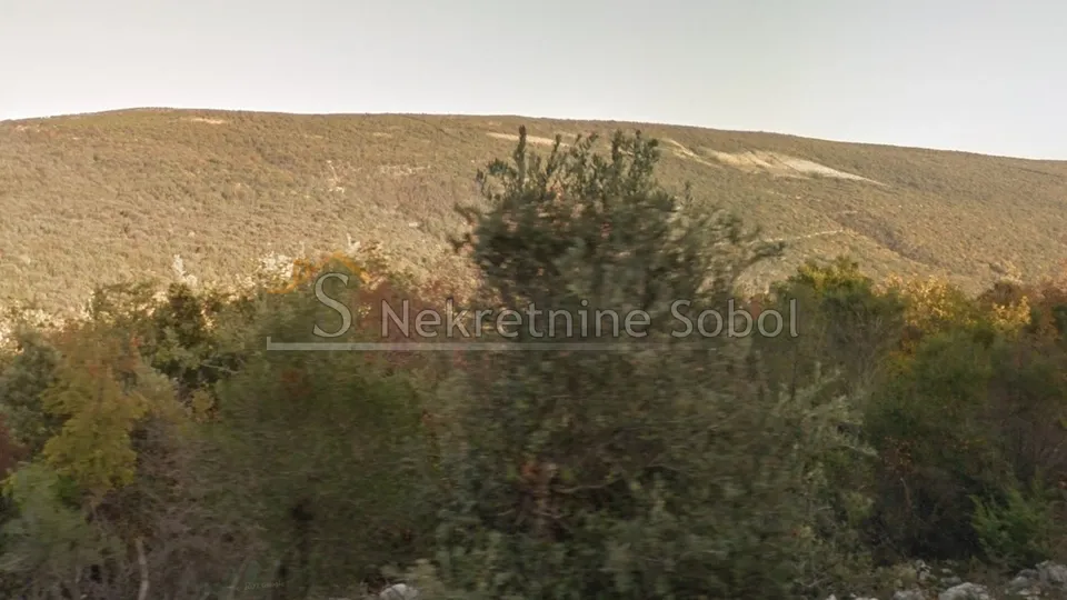 mali podol, otok cres - poljoprivredno, 23708 m2 prodaja - slika 2