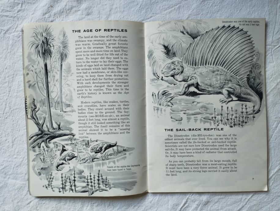 ware, sutherland, ostrom - let`s read about prehistoric animals - slika 6