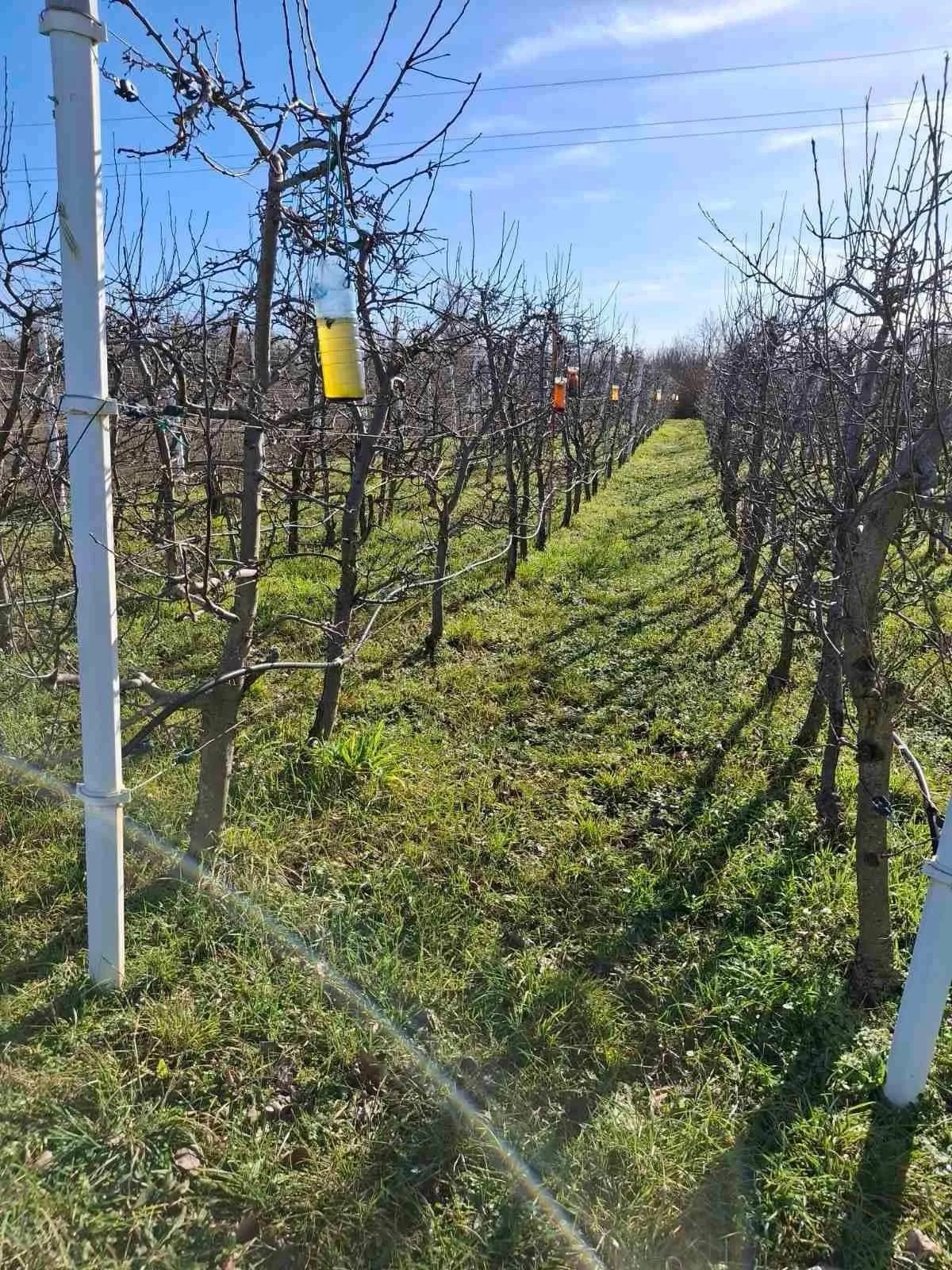 poreč-vikend kuća nedaleko poreča na prodaji (prodaja) - slika 11