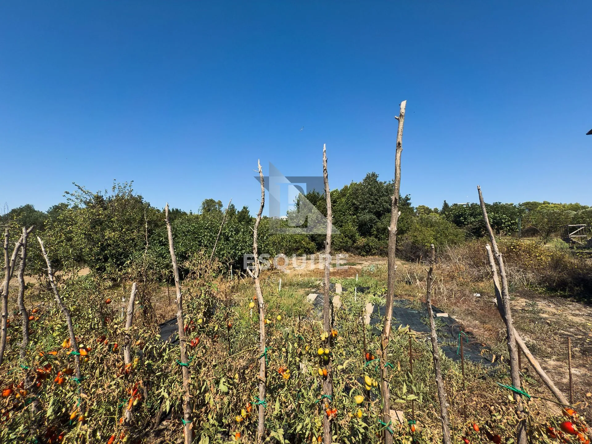 diklo - građevinsko zemljište od 1140m2! - slika 3