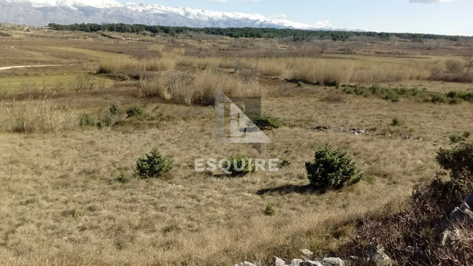 vrsi poljoprivredno zemljište - 2.551m2 - slika 3