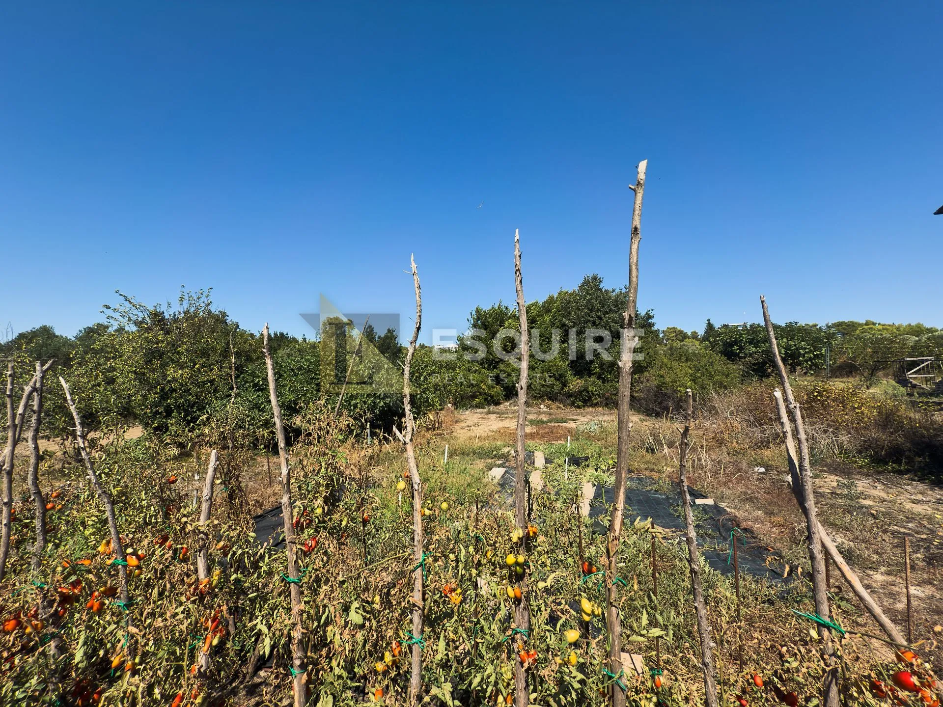 diklo - kuća katnica za adaptaciju s velikom okućnicom - 592m2 - slika 20