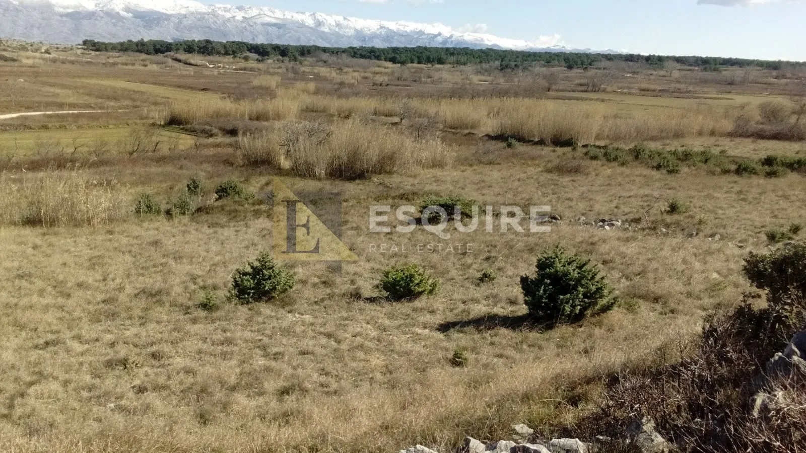 vrsi poljoprivredno zemljište - 2.551m2 - slika 3