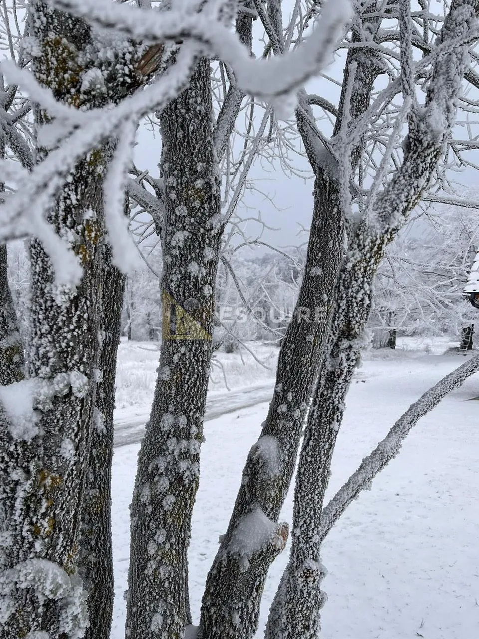 delnice kuća za odmor na parceli od 2700m2 - slika 40