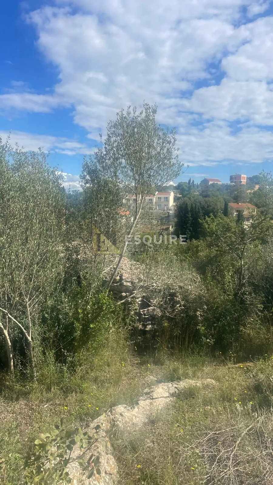 dugi otok - žman građevinsko zemljište s pogledom na more - slika 2