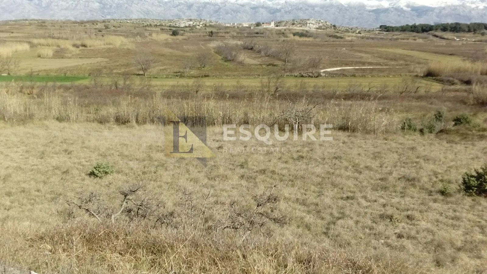 vrsi poljoprivredno zemljište - 2.551m2 - slika 4