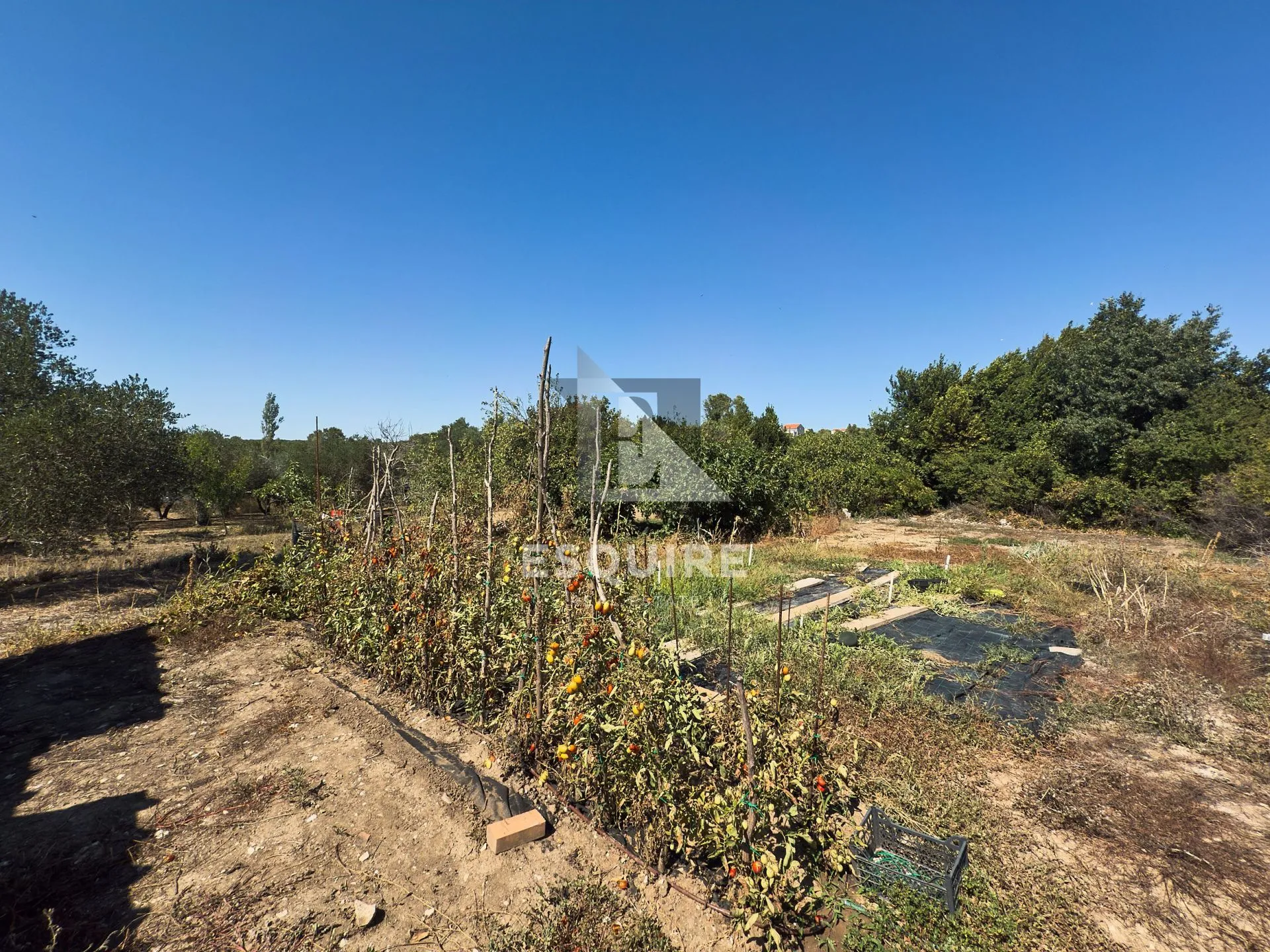 diklo - građevinsko zemljište od 1140m2! - slika 2