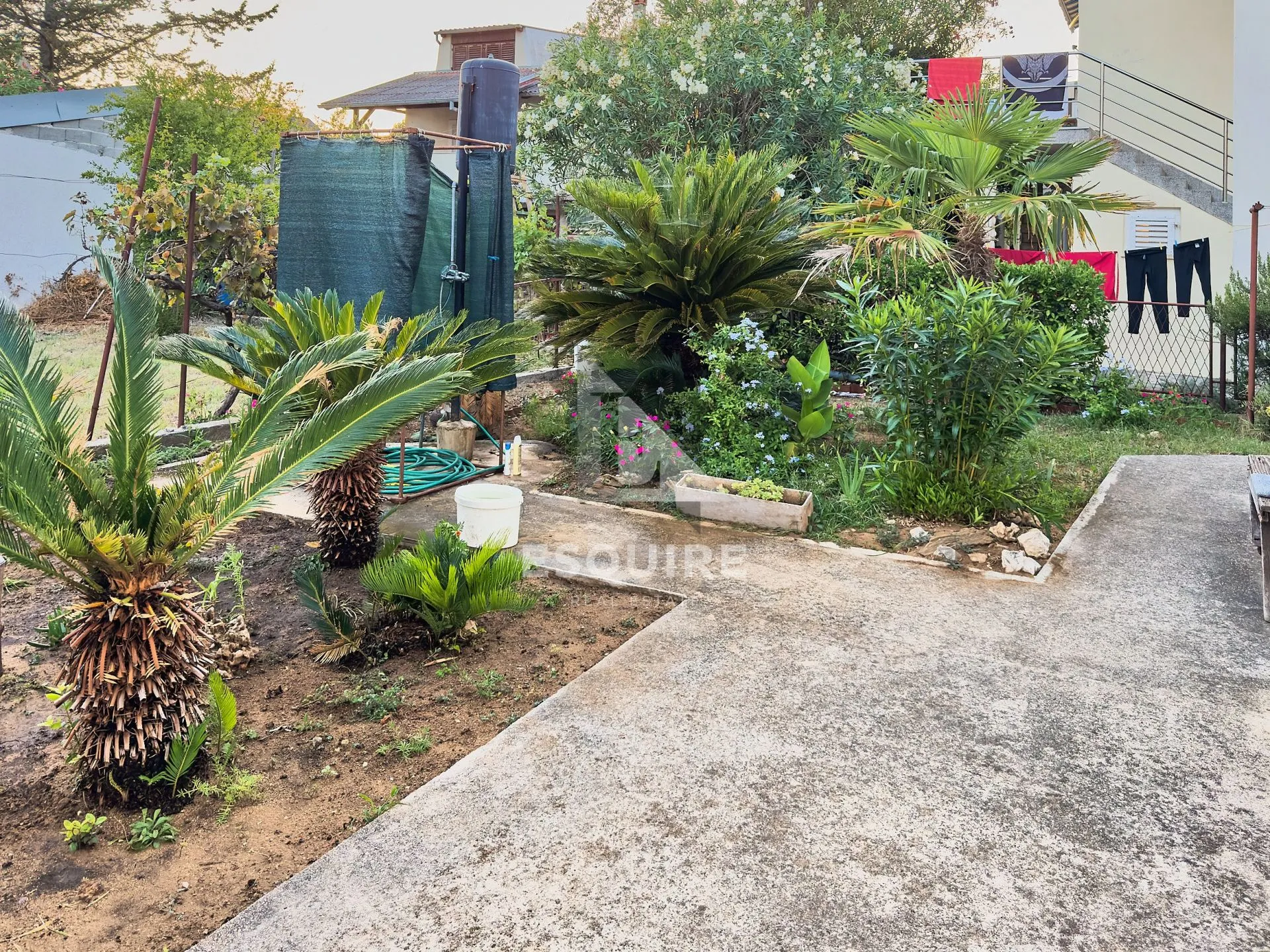 privlaka-sabunike, dvojna kuća s dva apartmana – 700 m od pješčane plaže!! - slika 7