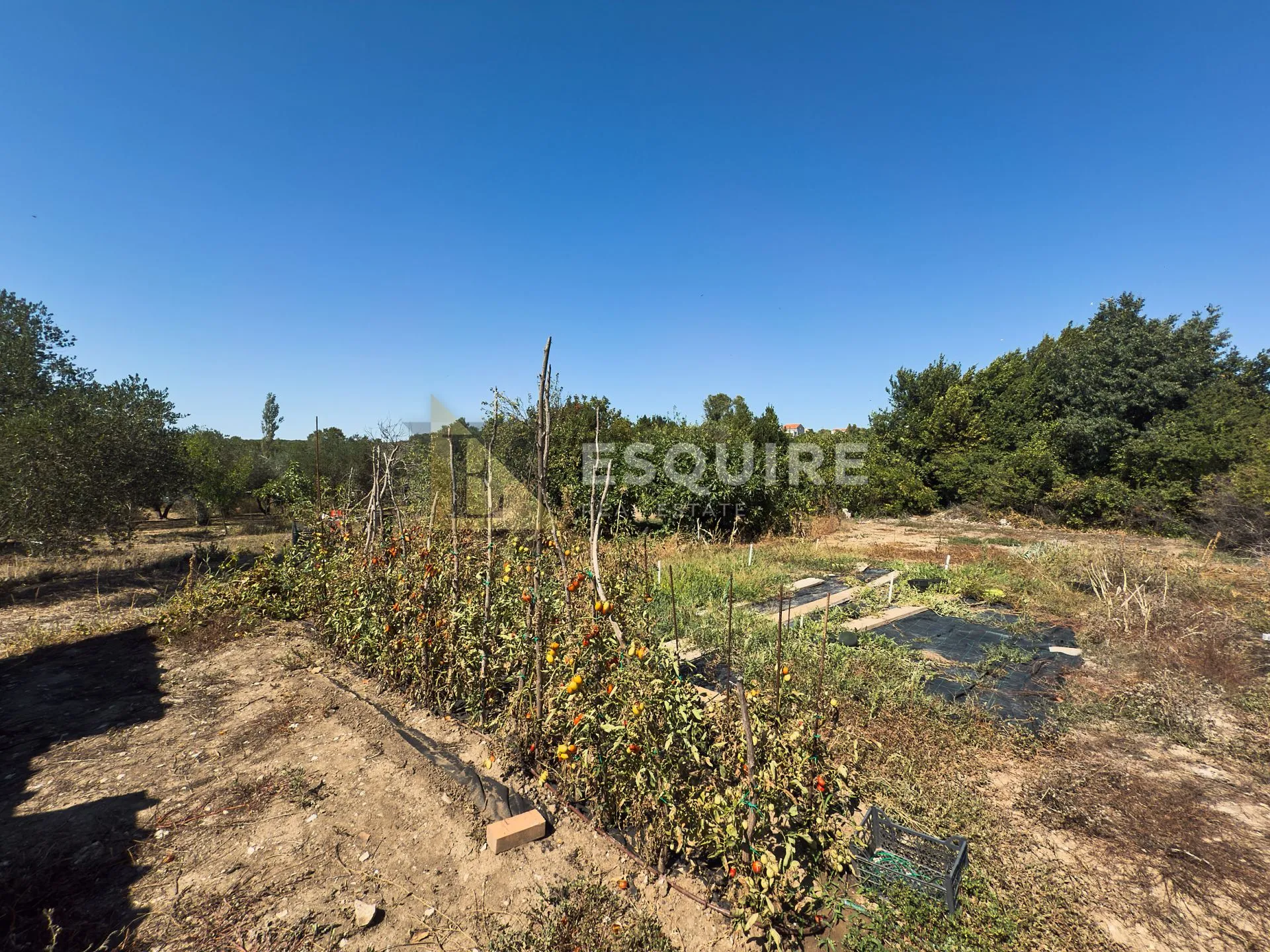 diklo - kuća katnica za adaptaciju s velikom okućnicom - 592m2 - slika 19