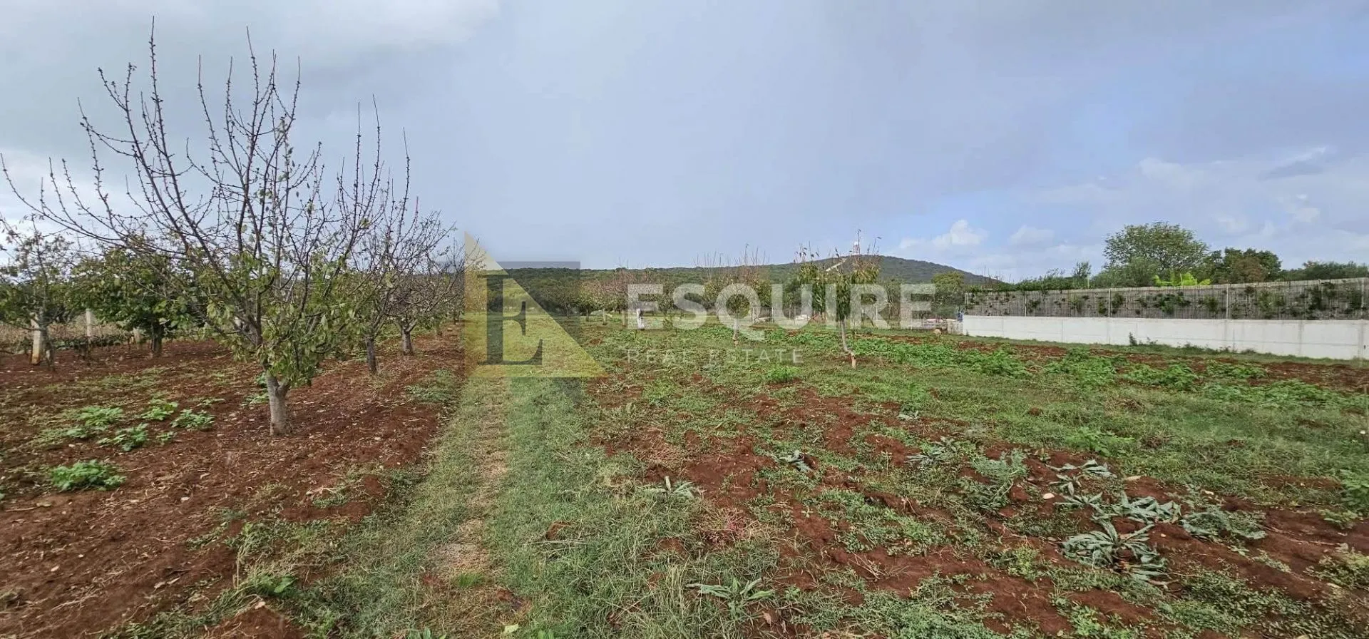 DEBELJAK - Građevinsko zemljište - 870m2 - Debeljak, Sukošan