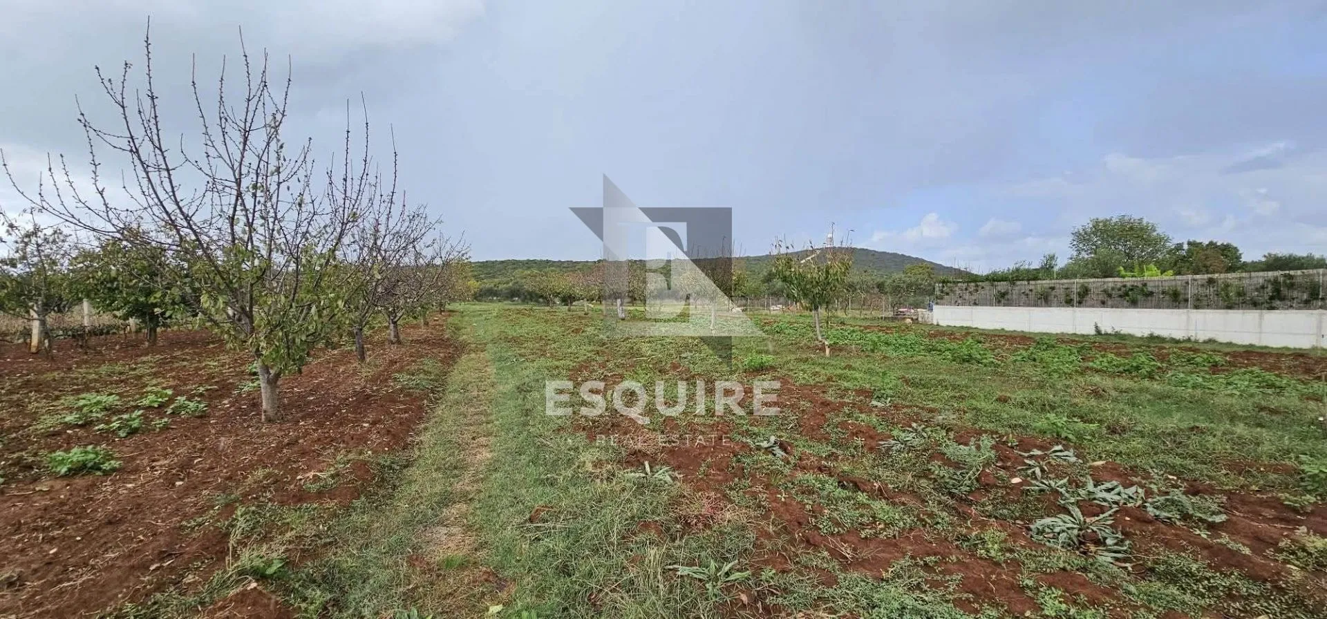 debeljak - građevinsko zemljište - 870m2 - slika 1