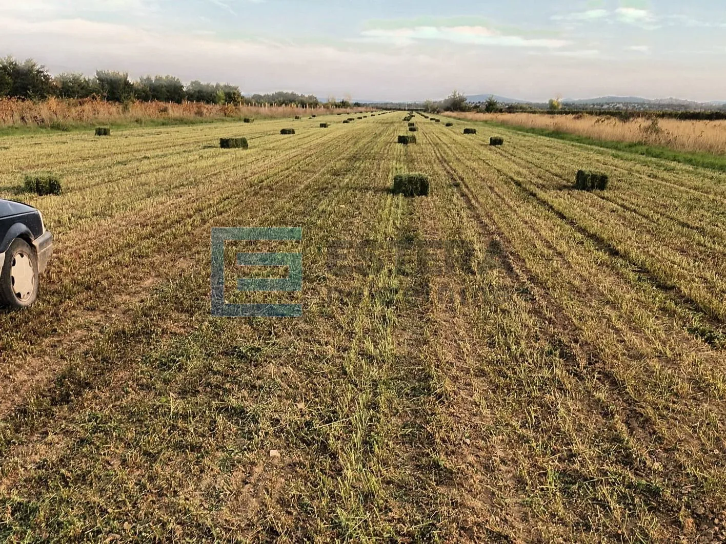 poljoprivredno zemljište prodaja 25.000 m2, nadin - slika 2