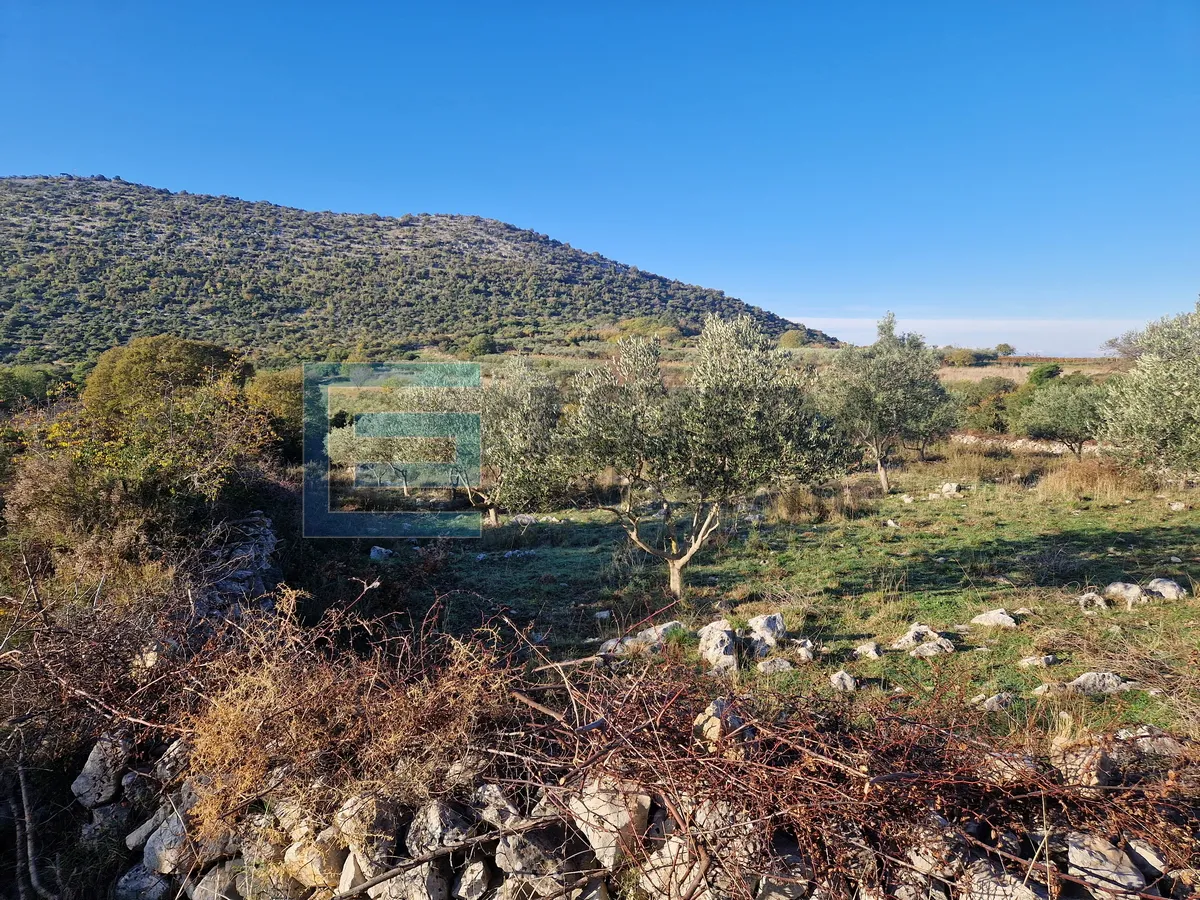 građevinsko zemljište prodaja donja jagodnja 1977 m2 - slika 3