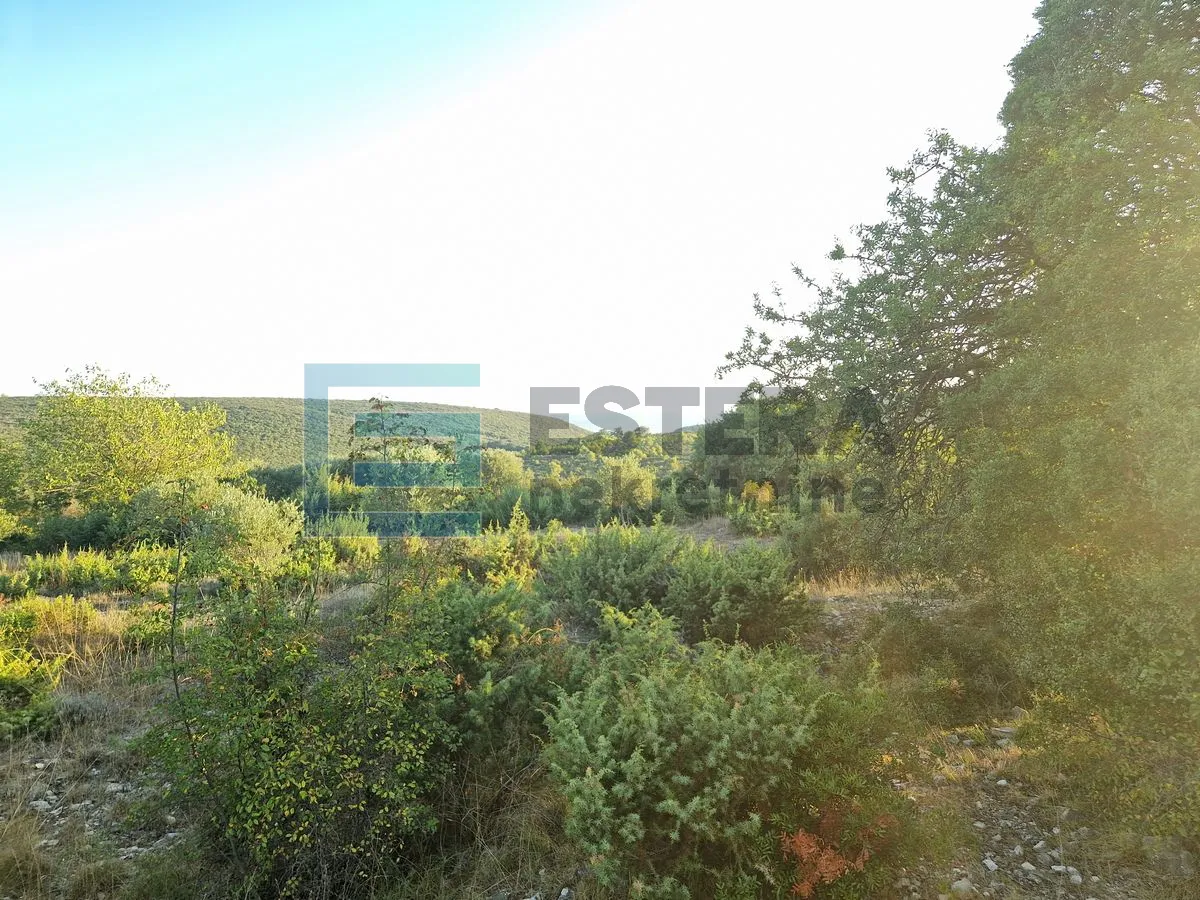 prodaja građevinsko zemljište 3321 m2 donje raštane - slika 5