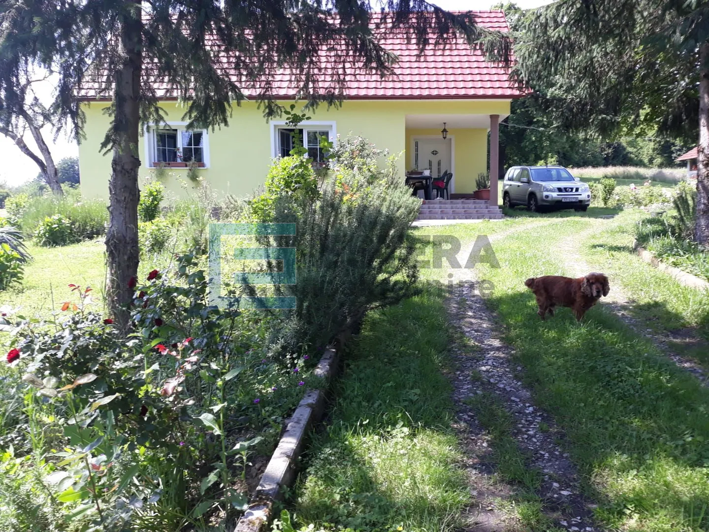obiteljska kuća prodaja s velikim imanjem 44000 m2 - slika 5