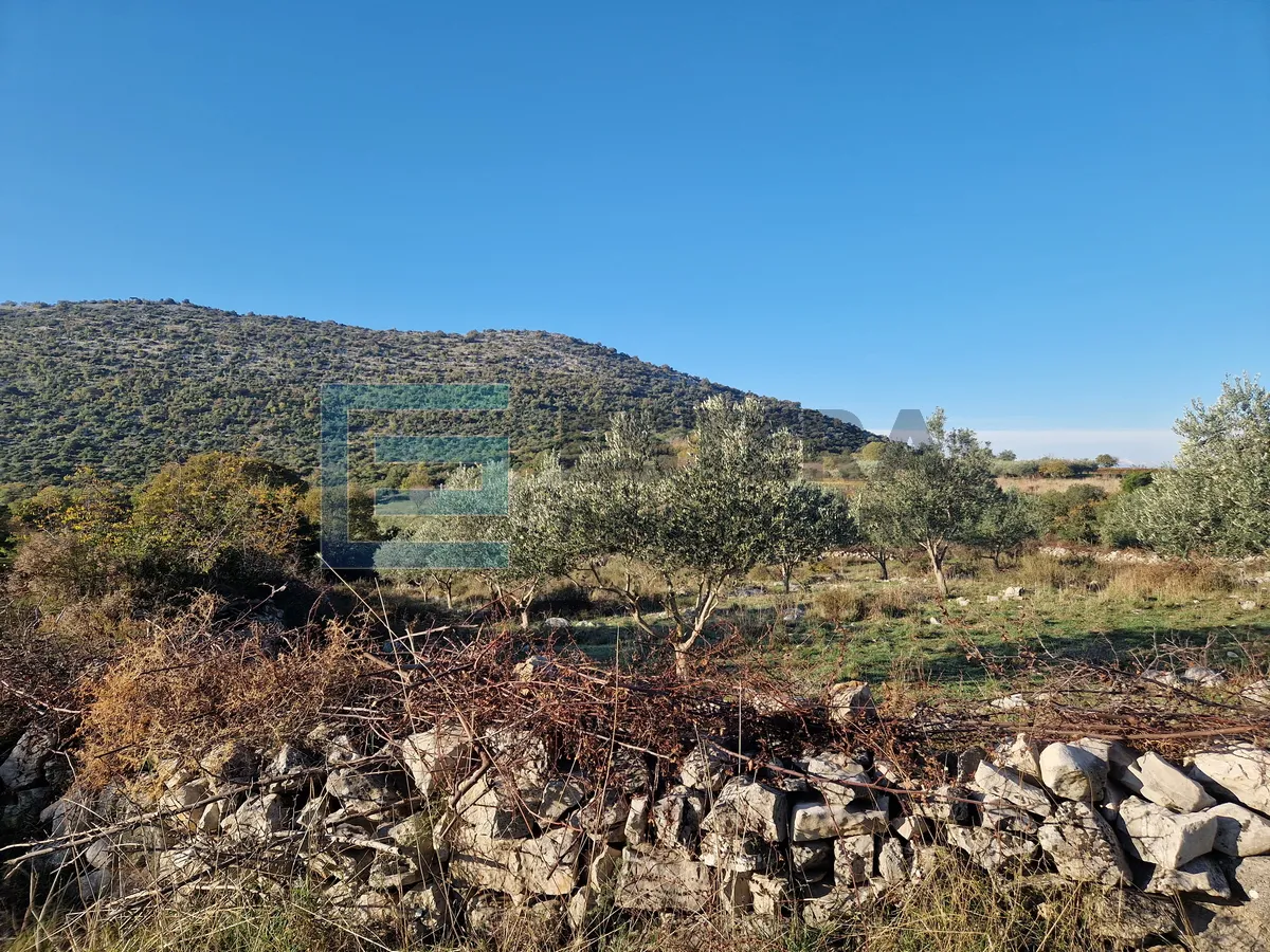 građevinsko zemljište prodaja donja jagodnja 1977 m2 - slika 4