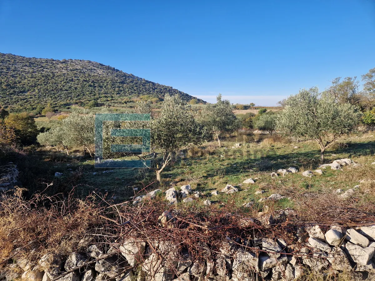 građevinsko zemljište prodaja donja jagodnja 1977 m2 - slika 2