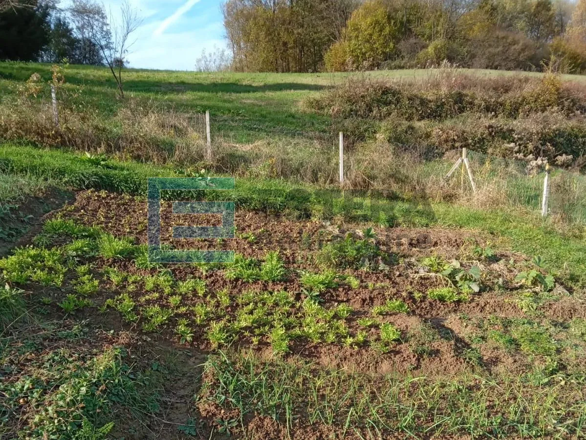 obiteljska kuća prodaja s velikim imanjem 44000 m2 - slika 10