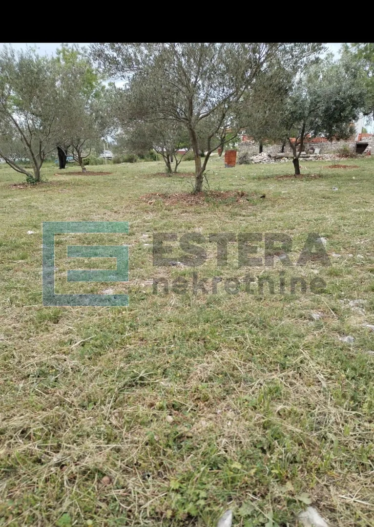 građevinsko zemljište prodaja, šopot, benkovac 1500 m2 - slika 2