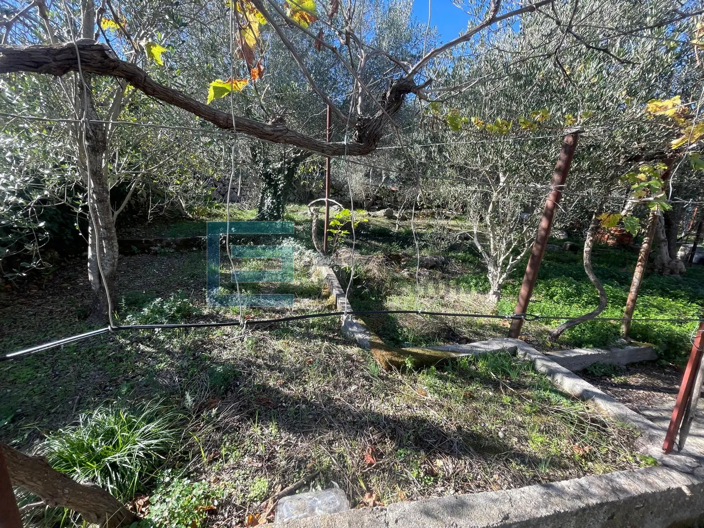 građevinsko zemljište prodaja ždrelac, 1301 m2, sa ucrtanim objektom 57 m2 - slika 5
