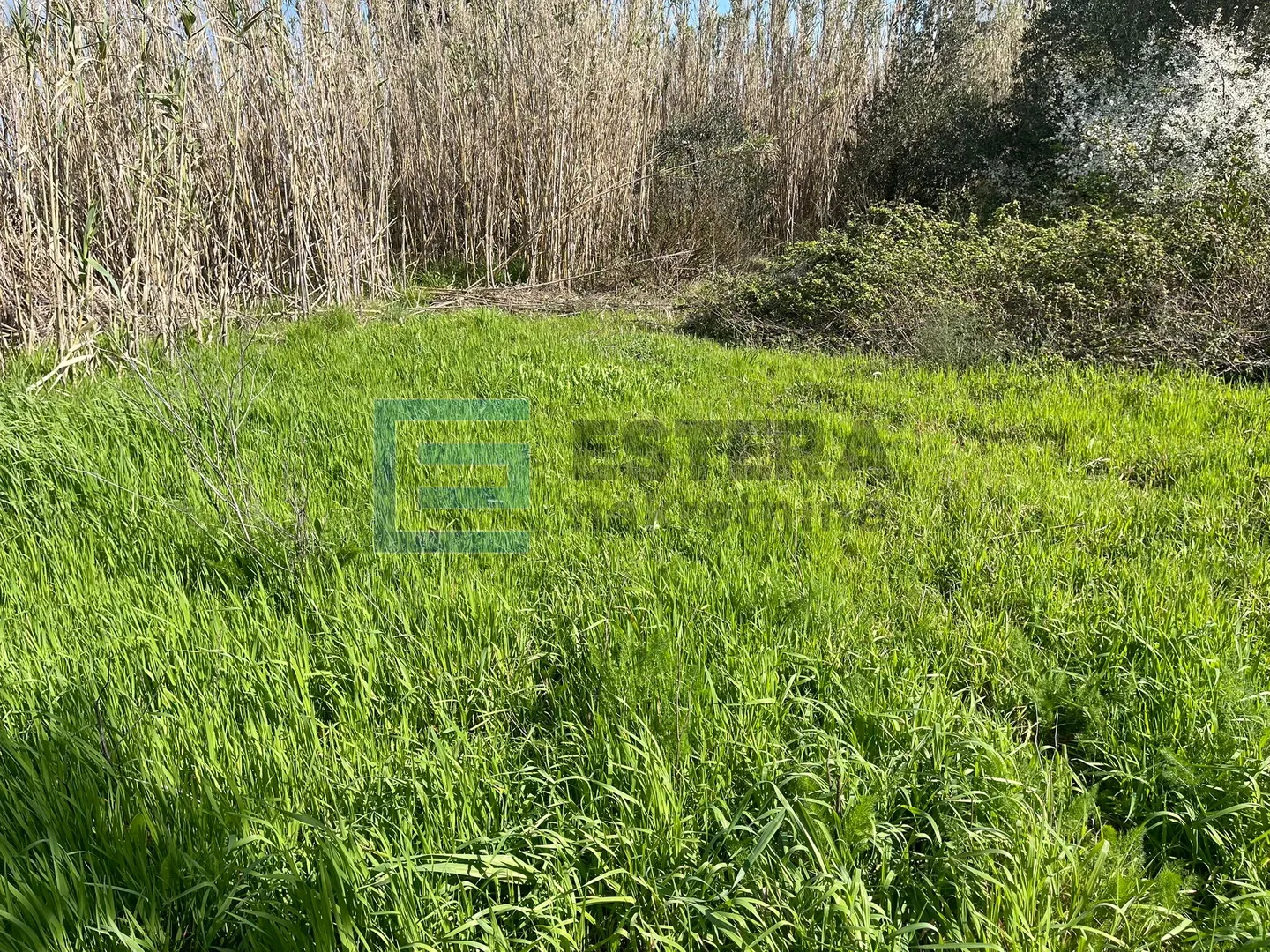 građevinsko zemljište 430 m2 prodaja otok pašman, uvala lučica, prvi red do mora - slika 3