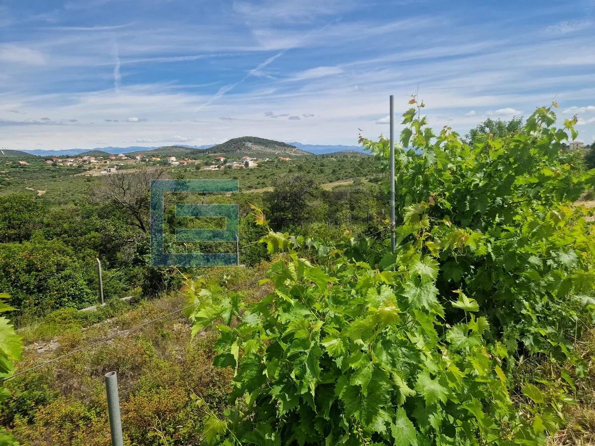 kuća 247 m2 prodaja donje raštane velika okućnica (2778 m2), prizemnica, 3s - slika 10