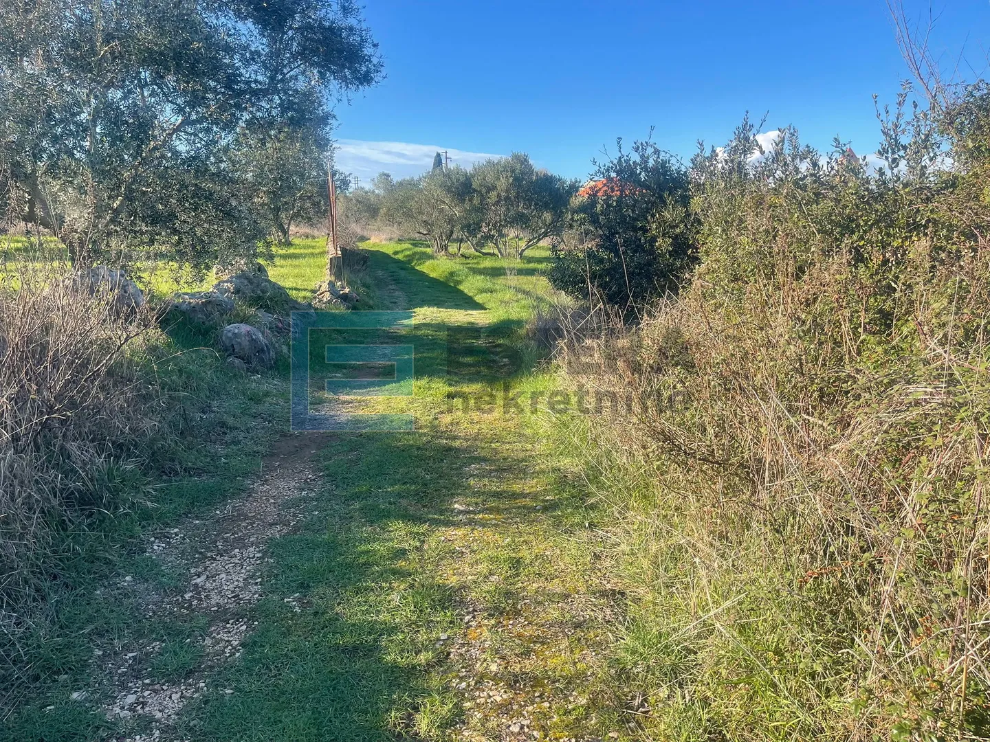 građevinsko zemljište prodaja mrljane, otok pašman 857 m2, 300 do mora - slika 3