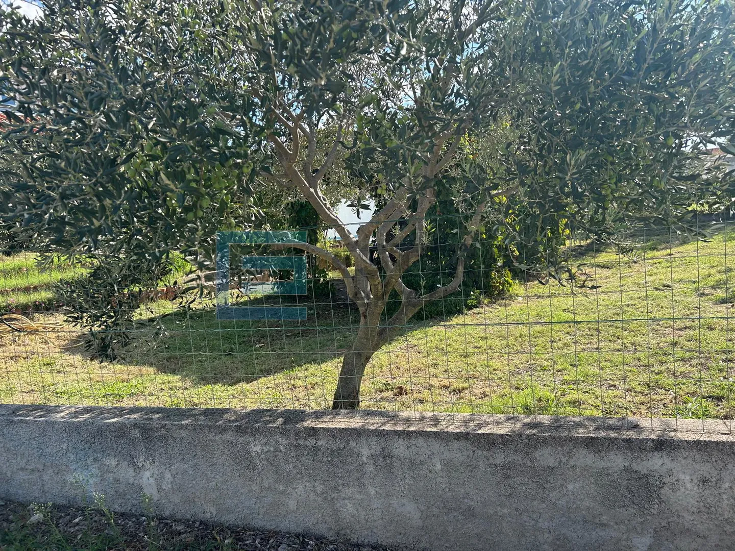 kuća s bazenom i velikom okućnicom prodaja blizina zadra - slika 11