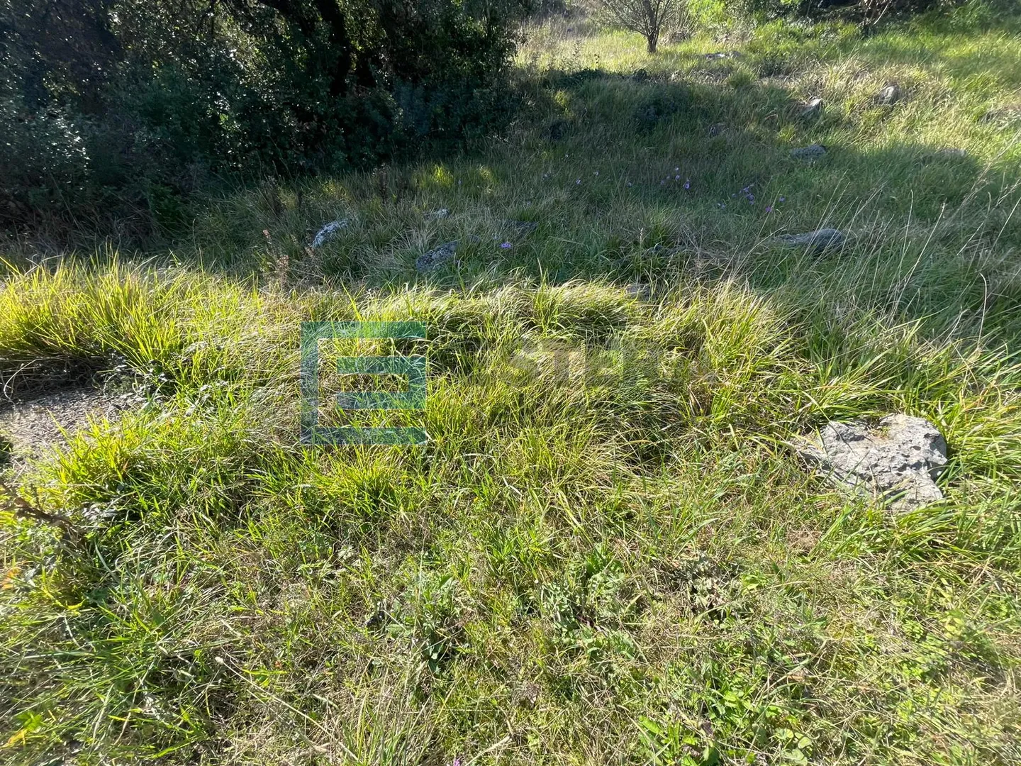 građevinsko zemljište prodaja ždrelac, otok pašman 619 m2, 350 do mora - slika 3