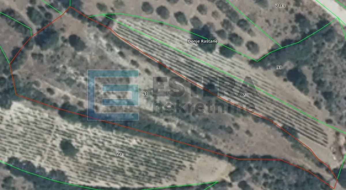 prodaja građevinsko zemljište 3321 m2 donje raštane - slika 9
