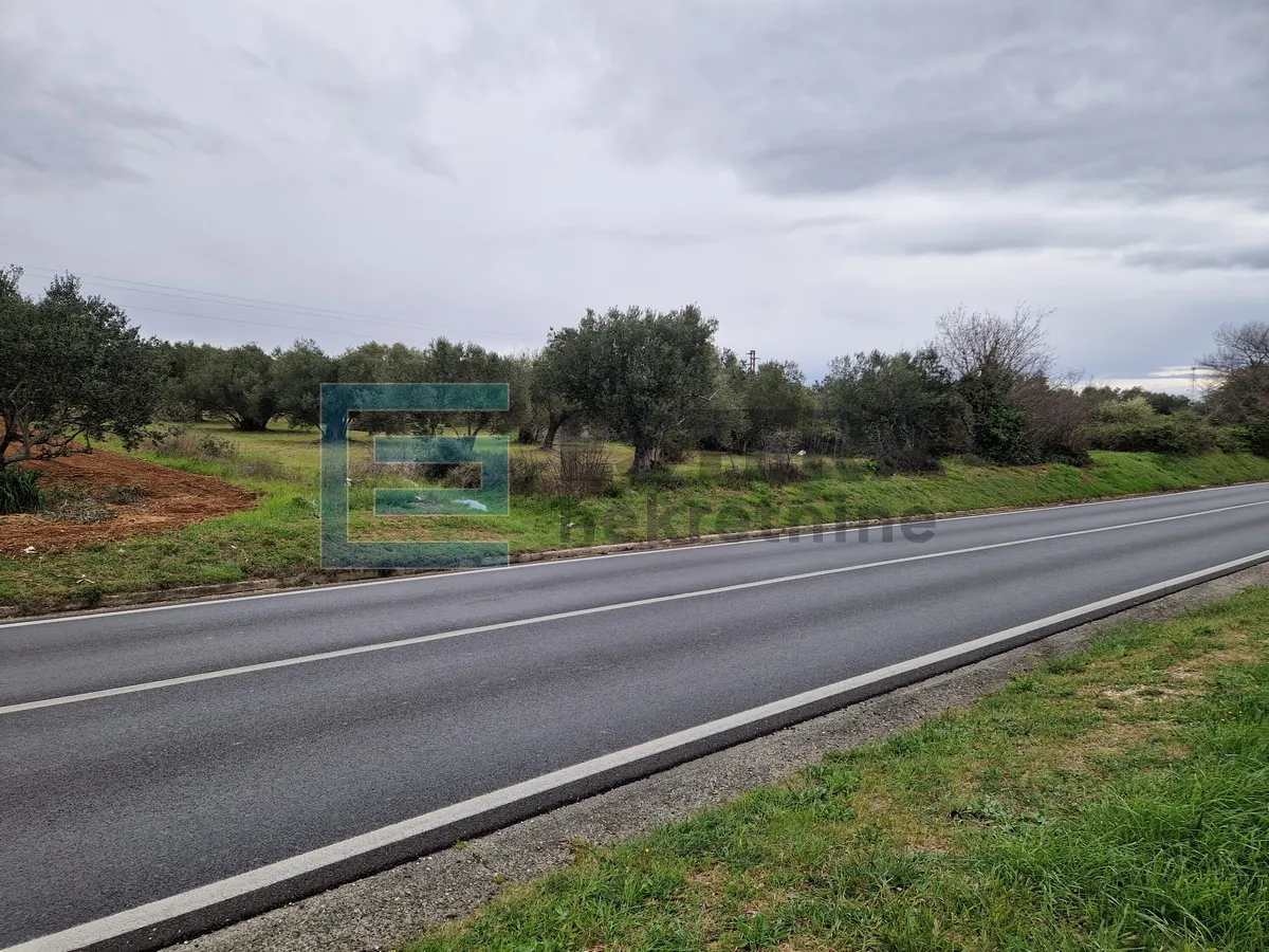 građevinsko zemljište prodaja sveti filip i jakov 3467 m2, 400 m od mora - slika 4