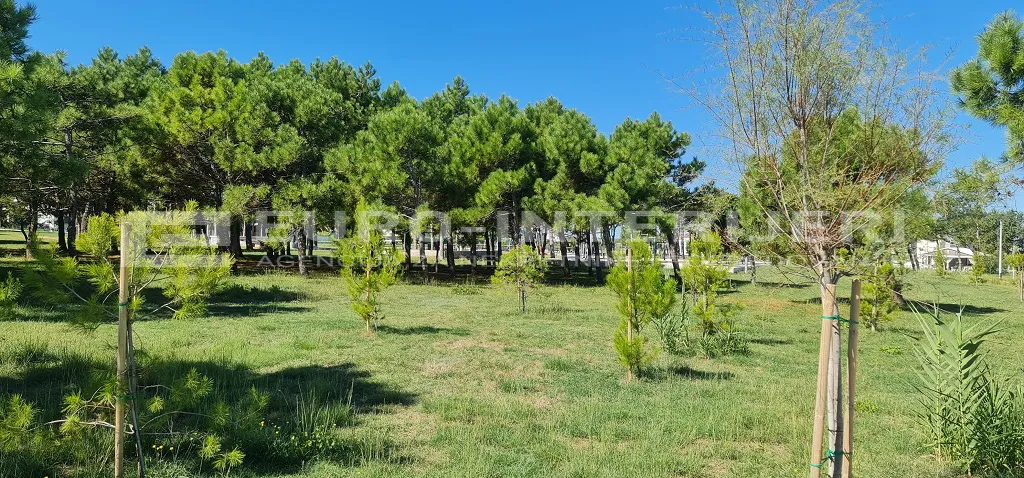 građevinsko zemljište sabunike, neposredno uz more pov. 1.091 m2 - slika 9